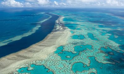 ‘If the reef had a voice, it would sing’: could legal personhood help the Great Barrier Reef?