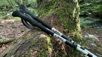 Leki Skytera FX Carbon SL trekking poles review: these outrageously light poles gave me all the support I needed for the 80-mile trek to Everest Base Camp