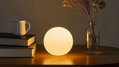 Every ridiculously chic apartment, bar and hotel lobby features this light right now and I thought it would be so expensive – turns out it's just $30