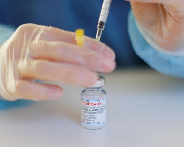 West coast sees highest Covid-19 levels as cases rise across US, CDC data says