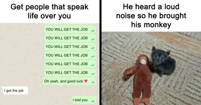 This Instagram Page Nails Antisocial Humor, Here Are 50 Of Their Best Memes