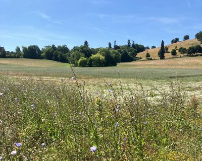 Country diary: A place where the soil is the star