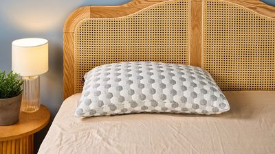 Layla Kapok Pillow review 2025: Customized support for an uninterrupted night’s rest