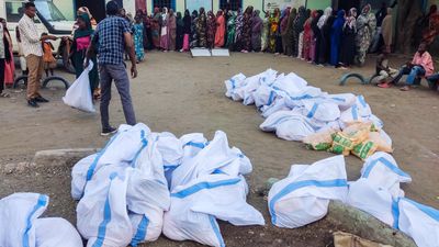Starvation spreads from camps to besieged Sudanese city of El-Fasher