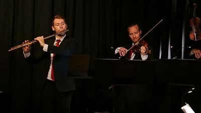 Meet the Austrian carpenter safeguarding precious flutes with his new 'smart case' invention