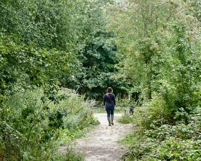Human connection to nature has declined 60% in 200 years, study finds