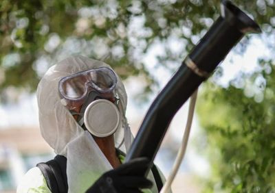Alarm in China as mosquito-borne virus outbreak triggers zero-Covid-style controls