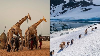 The Herds: Life-sized animal puppets complete epic 20,000km climate crisis journey