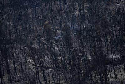 Firefighters battle to prevent reignition of France’s largest wildfire as residents return home
