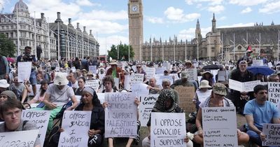 More than 450 arrested at protest in support of Palestine Action in London