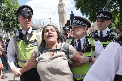 Police arrest 466 people over Palestine Action support at protest