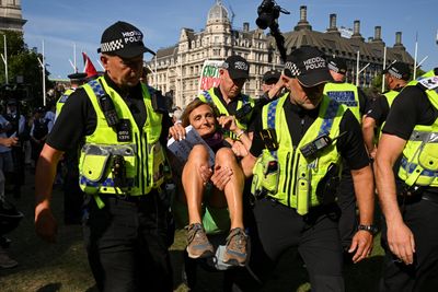UK police arrest 466 people at Palestine Action protest in London
