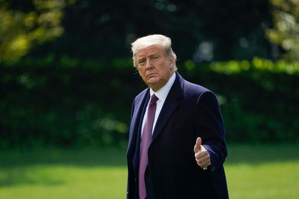 Trump reportedly considers reclassifying marijuana as less dangerous drug
