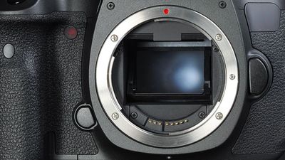 Here's why to switch from DSLR to mirrorless… and why NOT to