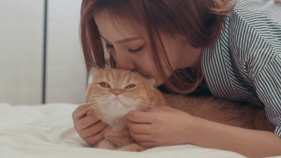 What do cats think about all day? A vet explains