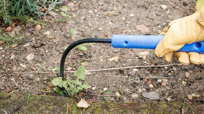This garden tool is a real mean machine with weeds in my yard — and it’s under $35