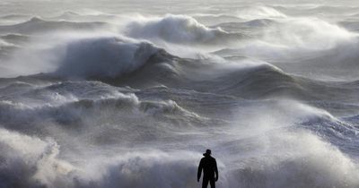 Experts warn urgent action needed after Storm Floris damage