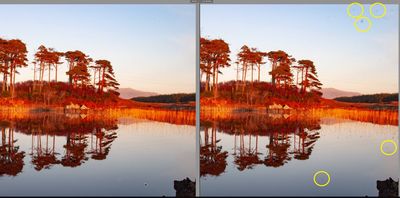 I just discovered this new tool for removing dust from my photos – and it's magic!