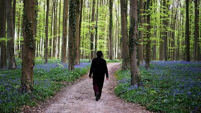 Can nature, art, and sport heal? Inside Europe’s growing social prescribing movement