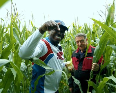 ‘I didn’t realise pigs were like, massive’: the London rapper who fell in love with farming