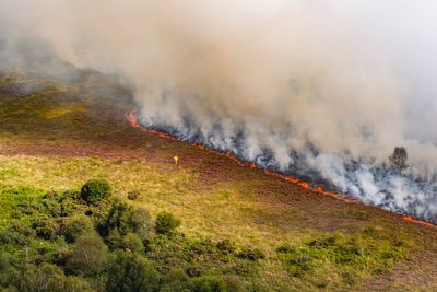 Major incident declared as huge fire rages on Dorset heath