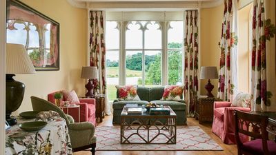 'This isn't a bird problem, it's a design one' – 3 simple, expert methods to stop birds flying into windows, doors, and outdoor mirrors
