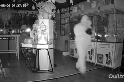 Watch brazen theives steal Labubu dolls in heist
