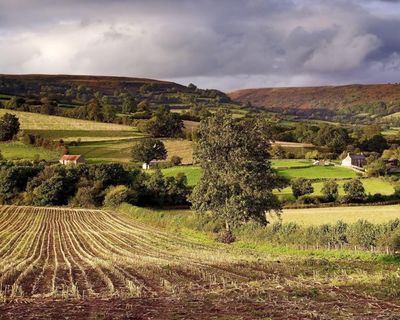 Farmers fight to save estate at heart of Powys Welsh-speaking community