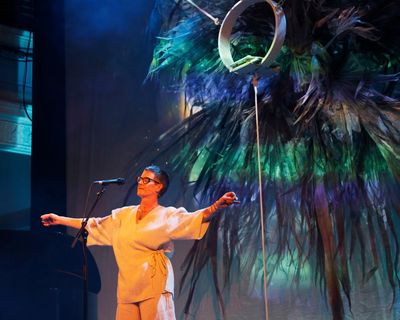 Windblown review – haunting elegy for a felled 200-year-old natural wonder