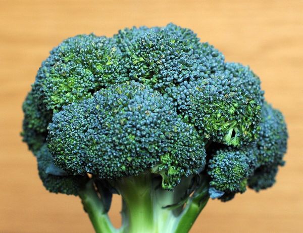 Man killed and nine rushed to hospital as broccoli recalled across Italy in deadly outbreak