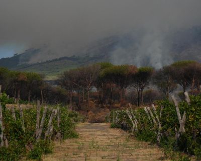Wildfires close Mount Vesuvius trails while fierce blazes continue in France