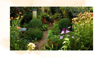 Are these common mistakes making your garden look and feel smaller?