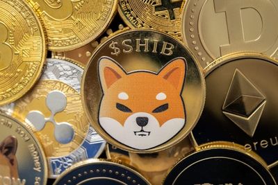 Shiba Inu Witnesses Whopping 643% Surge in Large Holder Netflows
