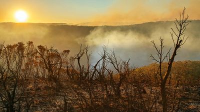 'Like a creeping mold that's spreading across the landscape': Separate dry areas around the world are merging into 'mega-drying' regions at an alarming rate, study finds