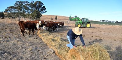 Triple whammy: how 3 types of drought crippled southern Australia this year