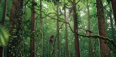 56 million years ago, Earth underwent rapid global warming. Here’s what it did to pollinators