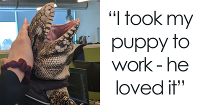 50 Animal Photos That Deserve To Be In The Hall Of Awkward Fame