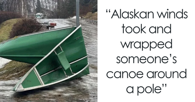 “I Think God Hates Me”: 50 Wild Pics That Remind Us To Never Mess With Nature (New Pics)