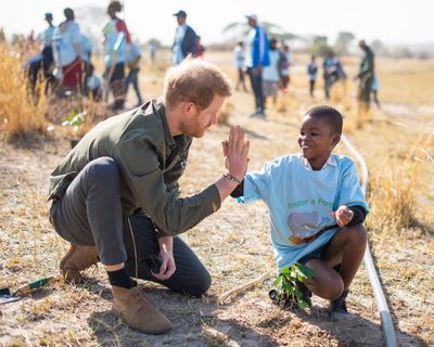 Prince Harry considers founding new charity after Sentebale dispute