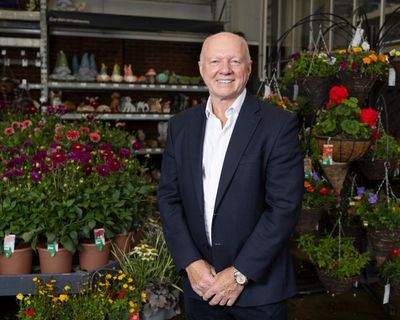 B&Q boss urges Reeves to end tax breaks that favour online Chinese rivals