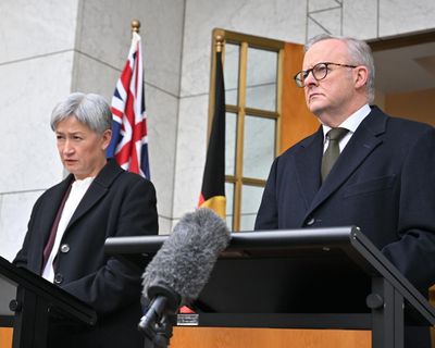 Afternoon Update: Australia to recognise Palestine; British backpacker pleads guilty to causing e-scooter death; and becoming smitten with a kitten