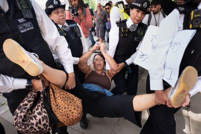 Palestine Action supporters ‘will feel full force of law’, justice minister says