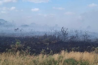 Homes evacuated as firefighters tackle wildfire on Dorset heath