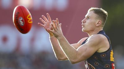 Crows veteran banned for massive Magpies clash