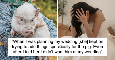 Mom Of The Bride Told She Can’t Bring Her Pet Pig To The Wedding, Does It Anyway And Ruins It