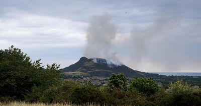 'New normal': Climate campaigners sound alarm over Arthur's Seat blaze