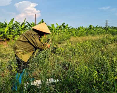 Farmers displaced by $1.5bn Trump golf course reportedly being offered rice and cash