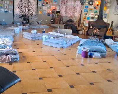 Ayahuasca and toad poison seized as police raid spiritual retreats in Spain