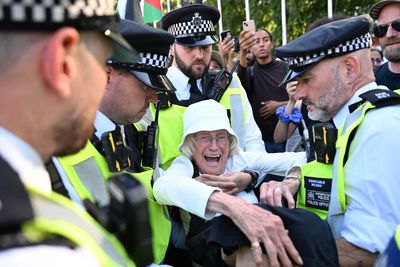 Voices: Arresting hundreds for protesting against a ban on Palestine Action shames us all