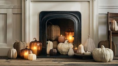 I don’t do seasonal gimmicks but Crate & Barrel’s unassumingly chic fall collection is made for us who only like to nod to autumn decor